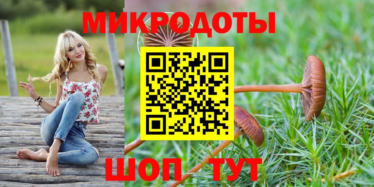 Тулун  Галлюциногенные грибы Psilocybe  Псилоцибиновые грибы ЛСД  Вход с VPN 
